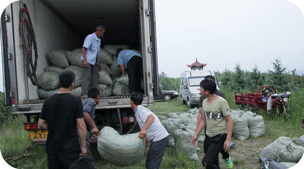 榛鮮果運往全國各地