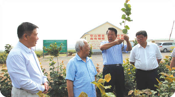 北京林業(yè)大學(xué)原校長中國堅(jiān)果品牌集群專家組組長宋維明到基地調(diào)研