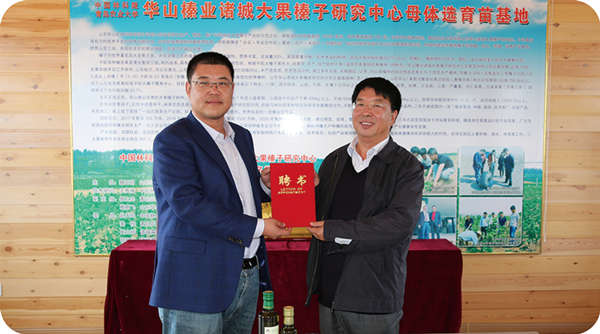 山東三羊榛緣生物科技有限公司聘請(qǐng)中國農(nóng)業(yè)大學(xué) 高彥祥教授為榛子深加工技術(shù)顧問