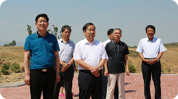 山東省自然資源廳副廳長、林業(yè)局副局長馬福義到基地調(diào)研